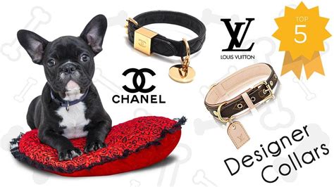 prada dog accessories|designer luxury dog accessories.